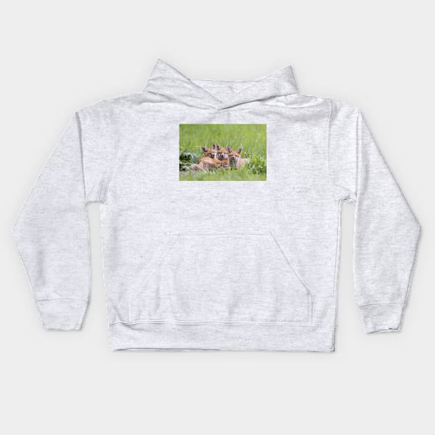 Red fox kit triplets Kids Hoodie by Jim Cumming